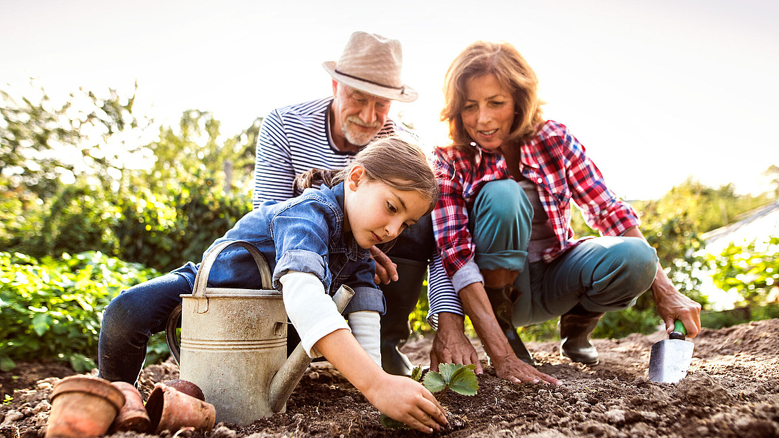 Ein junges Mädchen pflanzt in einem Garten, in dem ein älterer Mann mit Hut und eine Frau im karierten Hemd sitzen. Sie konzentrieren sich alle auf die Erde, sind von Grün umgeben und haben Gartengeräte und eine Gießkanne in der Nähe. Die Szene ist sonnig und friedlich.