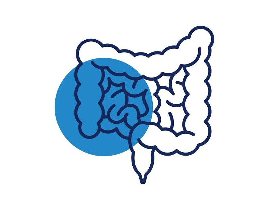 Eine einfache Strichzeichnung eines menschlichen Dickdarms mit einem blauen Kreis, der die linke Seite des Dickdarms hervorhebt, dargestellt auf weißem Hintergrund.